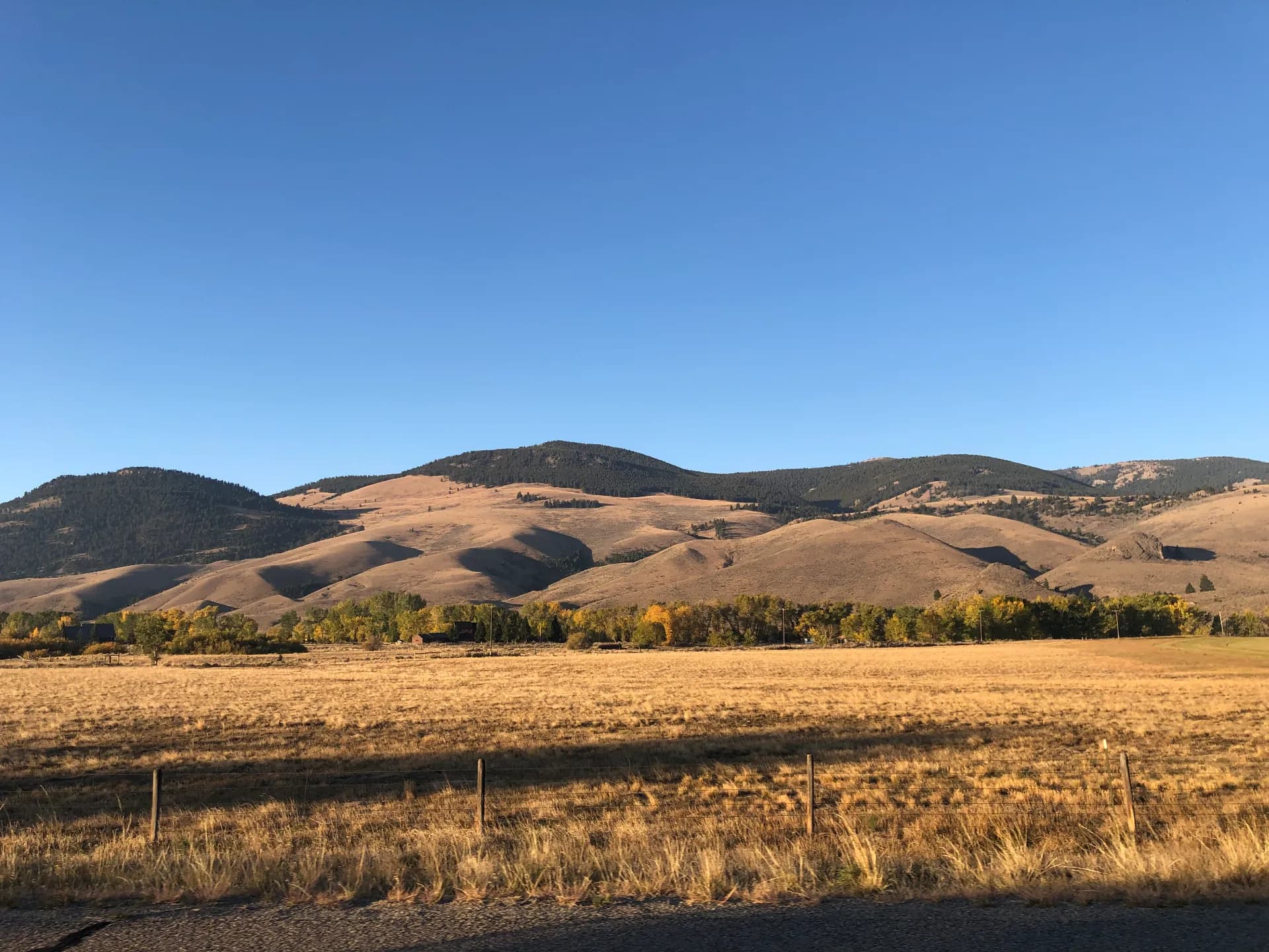 Golden autumn hills under a clear Montana sky