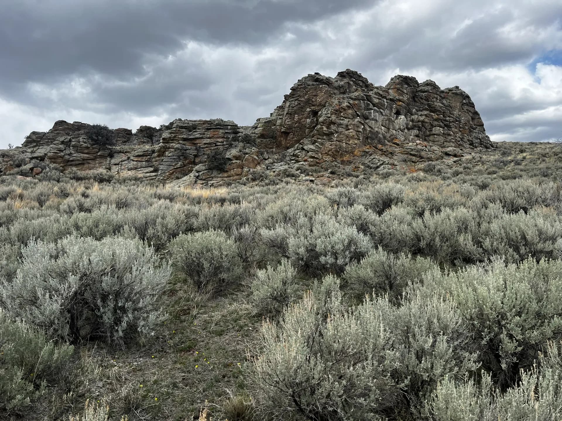 Montana mountain scenery