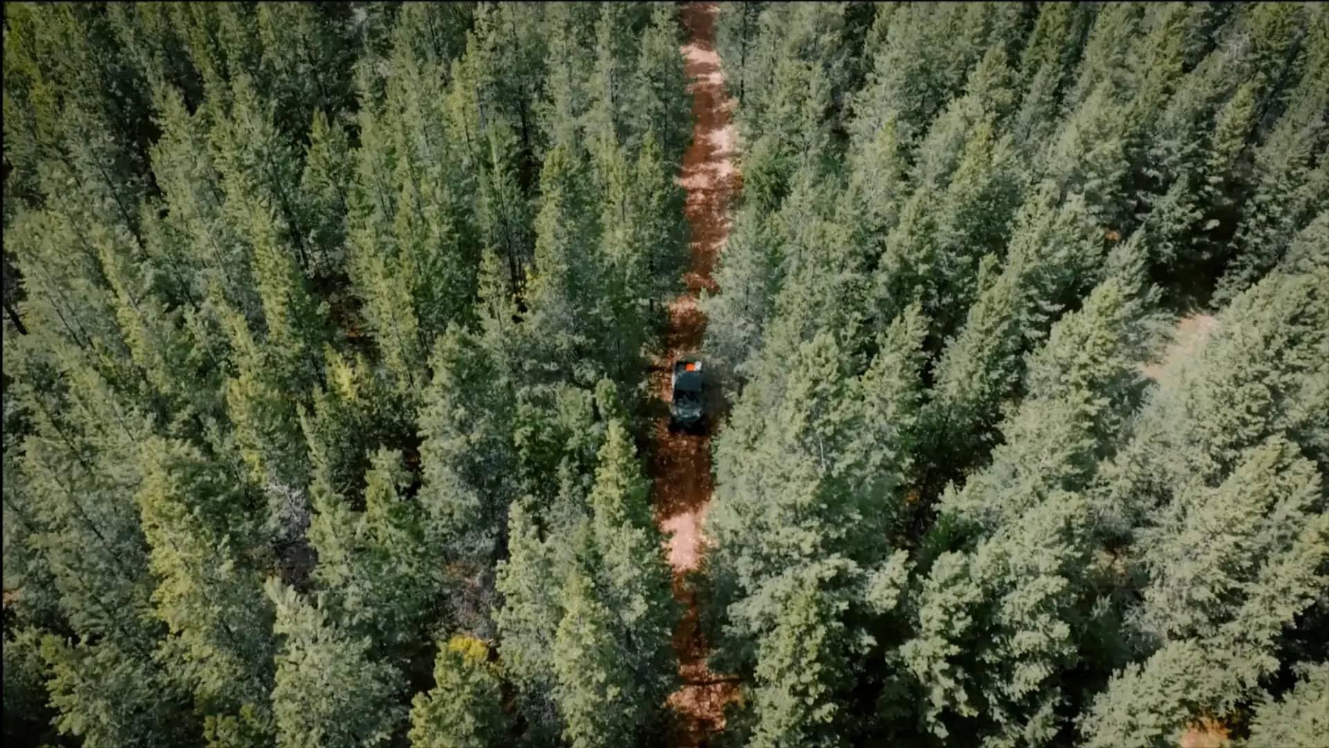 Aerial view of a Montana forest trail with an off-road vehicle